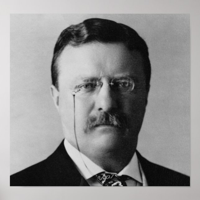 Póster Theodore Roosevelt (Frente)