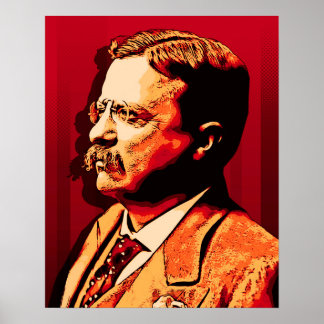 Póster Theodore Roosevelt