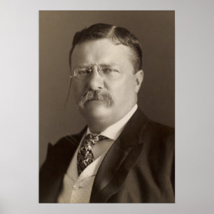 Póster Theodore Roosevelt, 26° presidente de Estados Unid