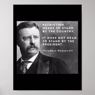 Póster Theodore Roosevelt Pro-democracia Anti-trump Patri