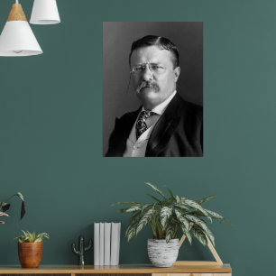 Póster Theodore Roosevelt Teddy Presidente Republicano