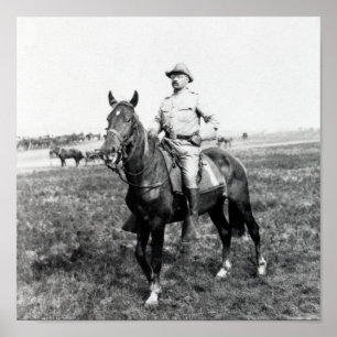 Póster Theodore Roosevelt - The Rough Rider - 1898