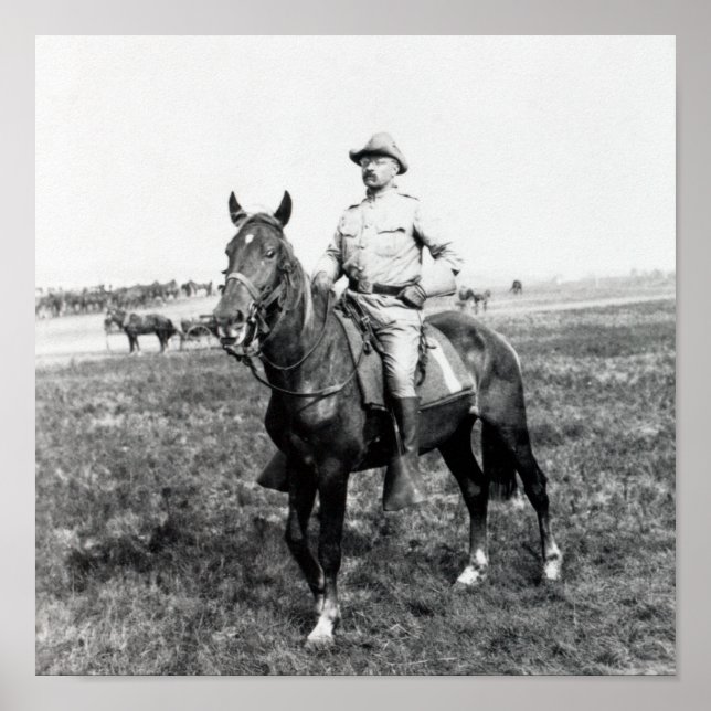 Póster Theodore Roosevelt - The Rough Rider - 1898 (Frente)