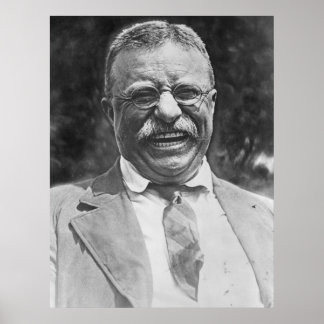 Póster Theodore "Teddy" Roosevelt