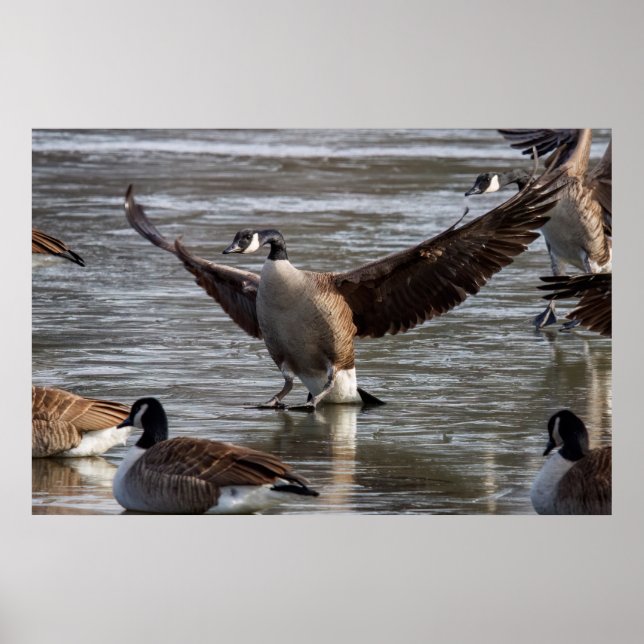 Póster Thin Ice (Frente)