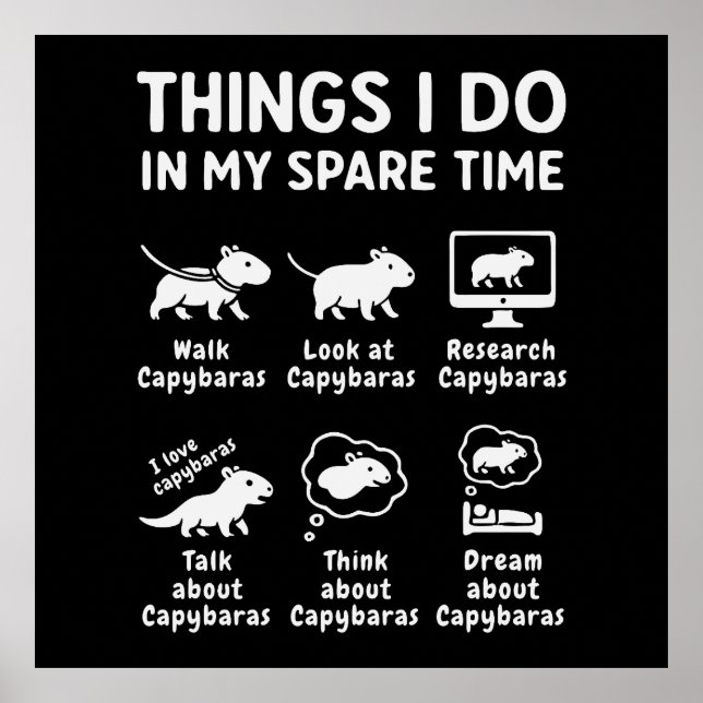Póster Things I Do In My Spare Time Capybara Funny (Frente)