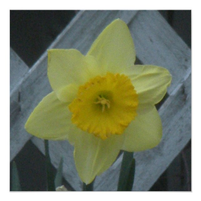 Póster Think Spring! (Anverso)