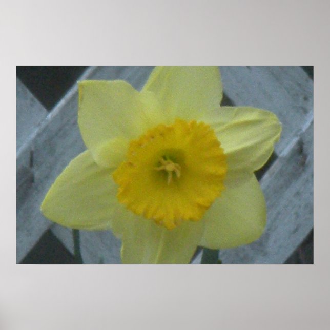 Póster Think Spring! (Frente)