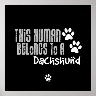 Póster This Human Belongs to a Dachshund