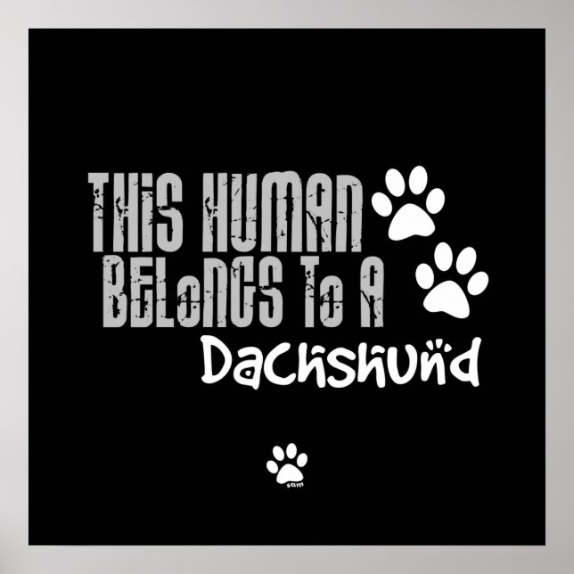 Póster This Human Belongs to a Dachshund (Frente)