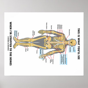 Póster This Is What You'll See When I'm Stripped To Bones