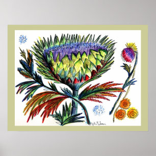 Póster Thistle42 Drawing