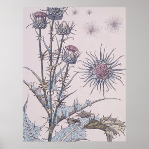 Póster Thistle azul