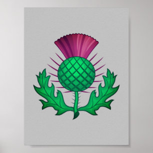 Póster Thistle escocés