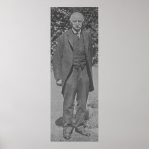Póster Thomas Hardy