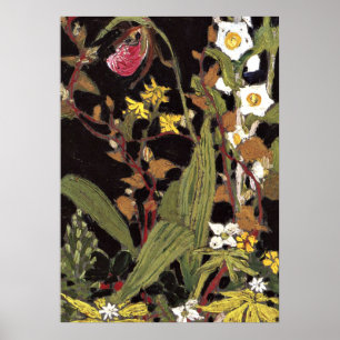 Póster Thomson - Orchids, Parque Algonquin