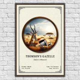 Póster Thomson's Gazelle Zoology Series