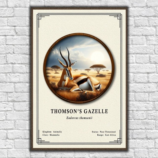 Póster Thomson's Gazelle Zoology Series (Subido por el creador)