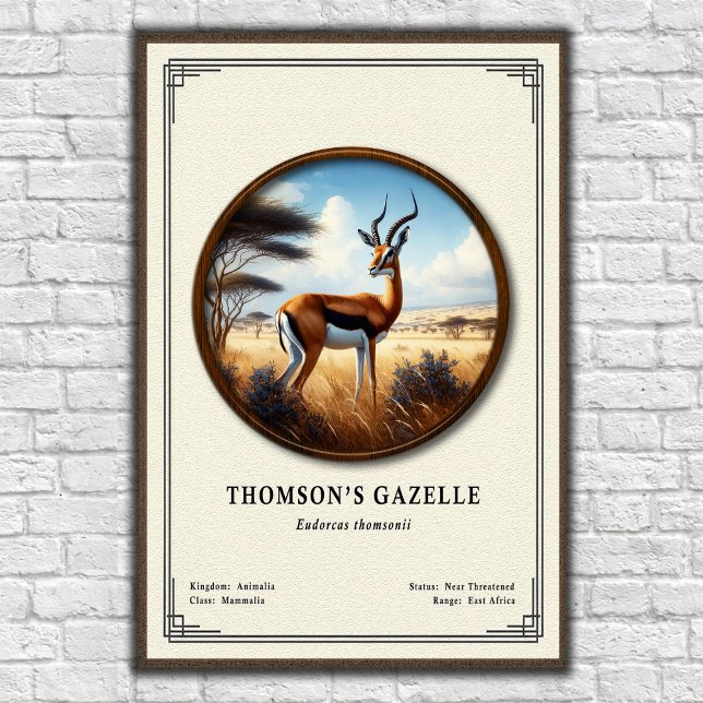 Póster Thomson's Gazelle Zoology Series (Subido por el creador)