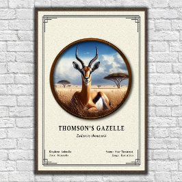 Póster Thomson's Gazelle Zoology Series