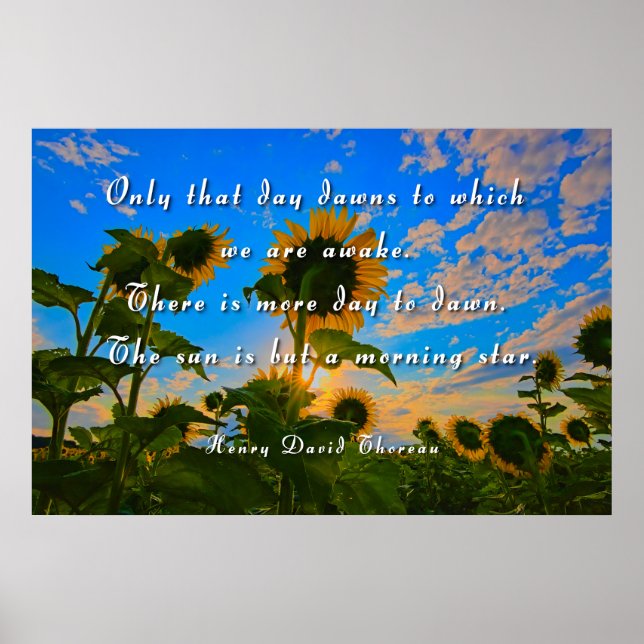 Póster Thoreau, Estrella de la Mañana (Frente)