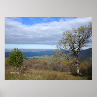 Póster Thornton Gap View in Spring
