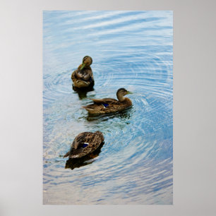 Póster Three