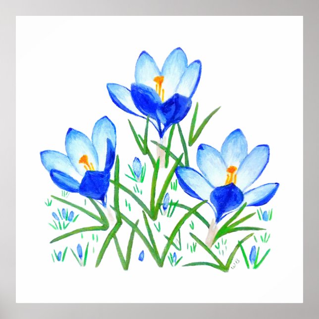 Póster Three Blue Crocus Flowers Print (Frente)