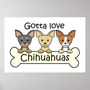 Póster Three Chihuahuas