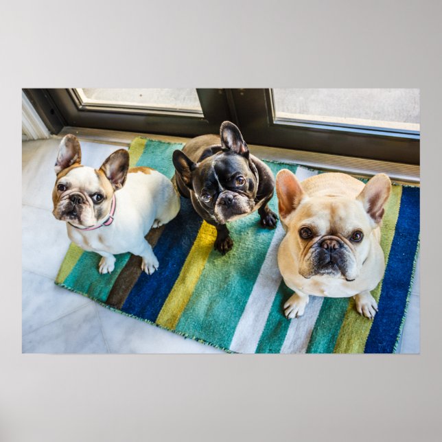 Póster Three Frenchies (Frente)