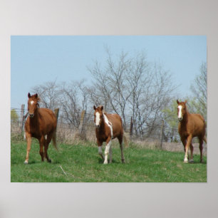 Póster Three Horses