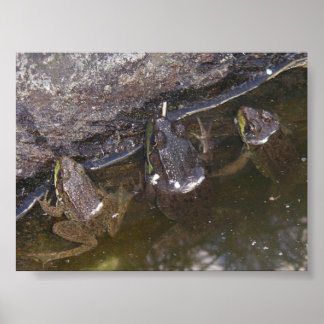 Póster Three Little Froggies