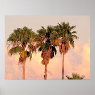 Póster Three Palm Trees Bathed in Warm Sunset