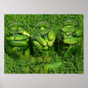 Póster Three Pickling Jars filled with Whole Cucumbers