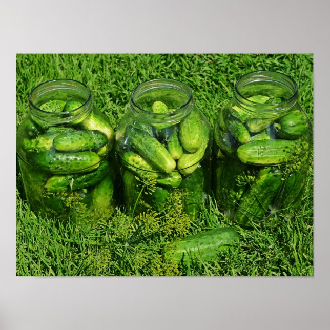 Póster Three Pickling Jars filled with Whole Cucumbers (Frente)