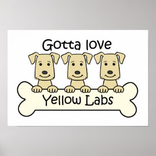Póster Three Yellow Labs