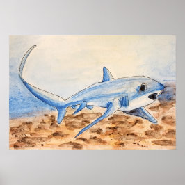 Póster Thresher Shark