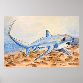 Póster Thresher Shark