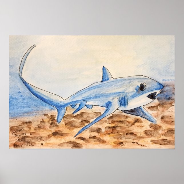 Póster Thresher Shark (Frente)
