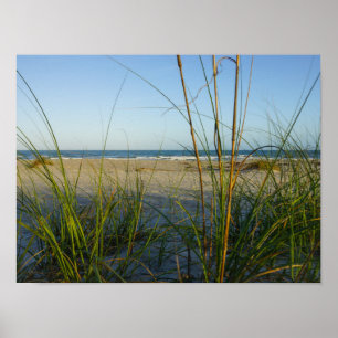 Póster Through The Sea Oats