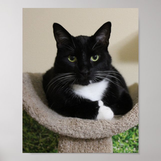 Póster Thumbup (Frente)