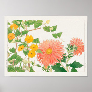 Póster Thunbergia, China aster by Tanigami Konan
