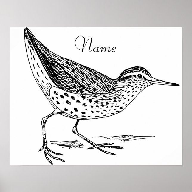 Póster Thunder_Cove de Sandpiper (Frente)