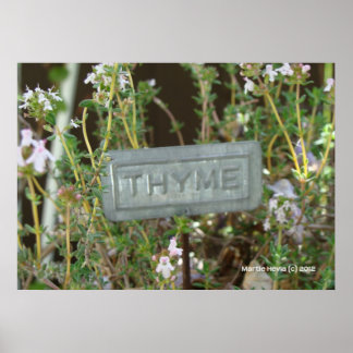 Póster Thyme