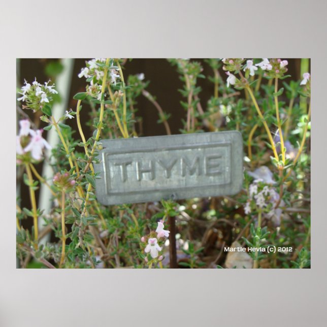 Póster Thyme (Frente)