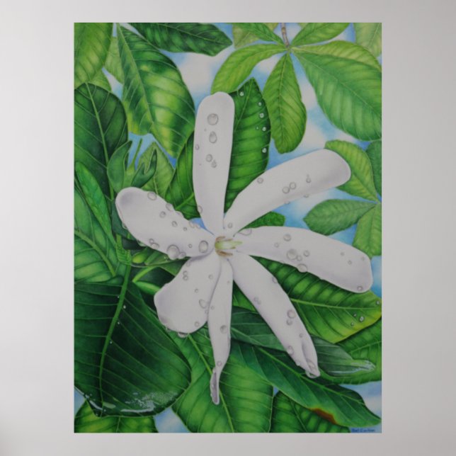 Póster Tiare Tahiti (Frente)