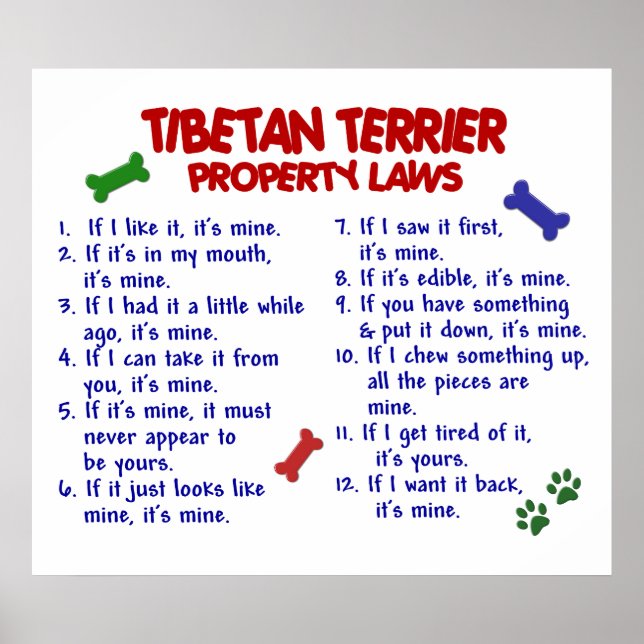 PÓSTER TIBETAN TERRIER PL2 (Frente)
