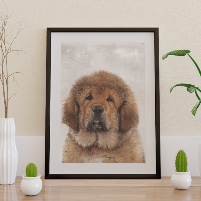 Poster Tibetano Mastiff (Subido por el creador)