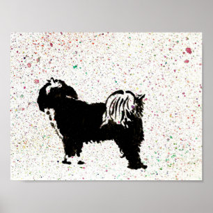 Póster Tibetano Terrier - Mirando hacia afuera