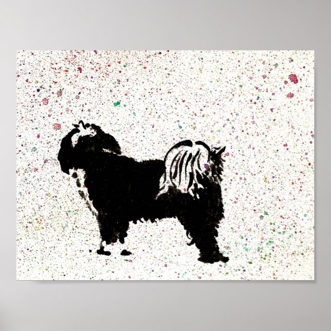 Póster Tibetano Terrier - Mirando hacia afuera (Frente)